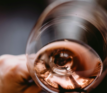 Wine Terminology